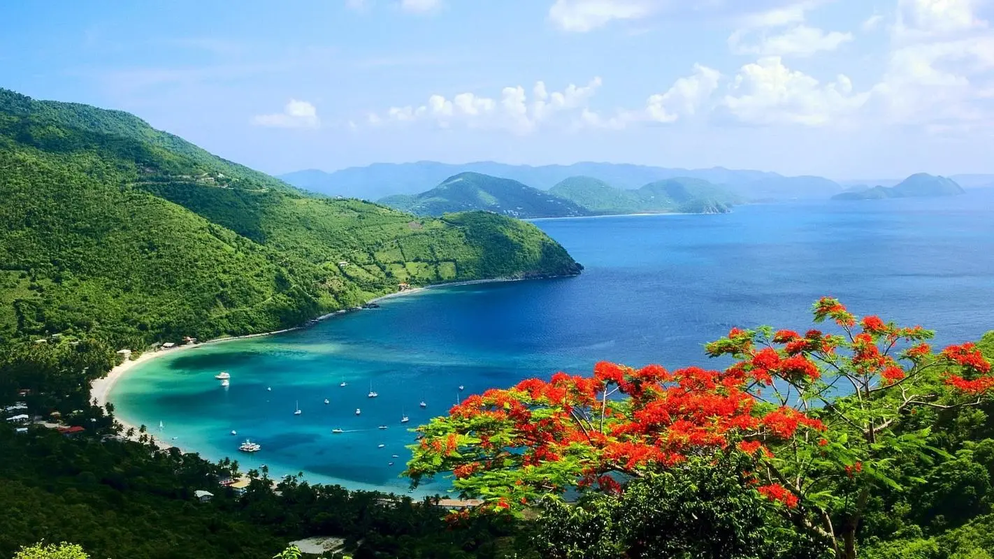 绿色高标准